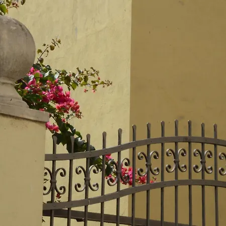 Casa Cabras فندق مبيت وإفطار سينيسكولا