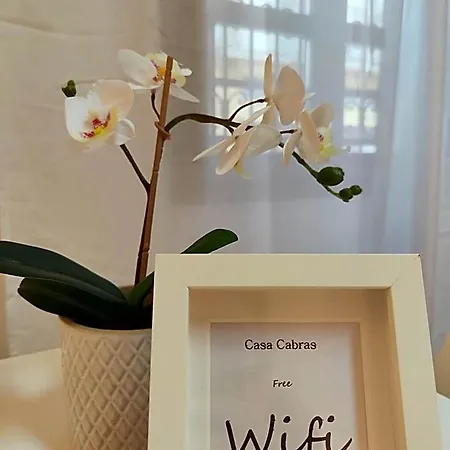 Bed & Breakfast Casa Cabras